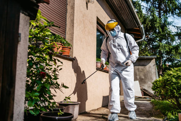 Best Exterminator Services  in Houston, MO