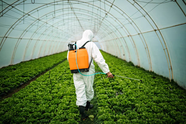 Best Affordable Pest Control Services  in Houston, MO
