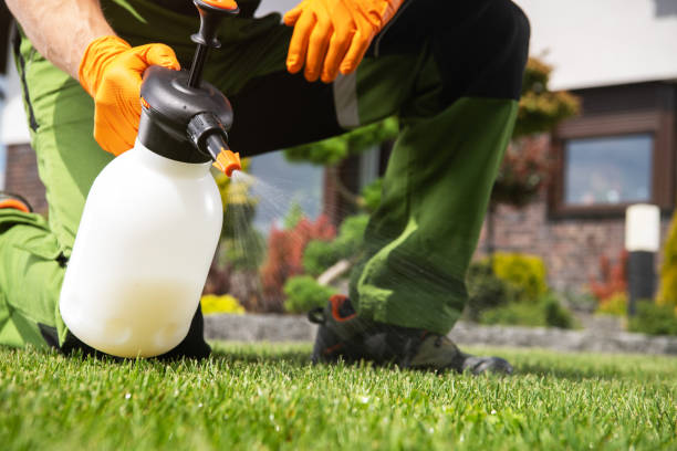 Best Emergency Pest Control  in Houston, MO