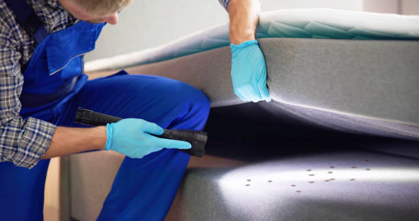 Trusted Houston, MO Pest Control Experts