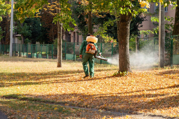 Best Residential Pest Control  in Houston, MO