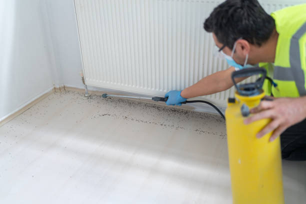 Best Pest Removal Services  in Houston, MO