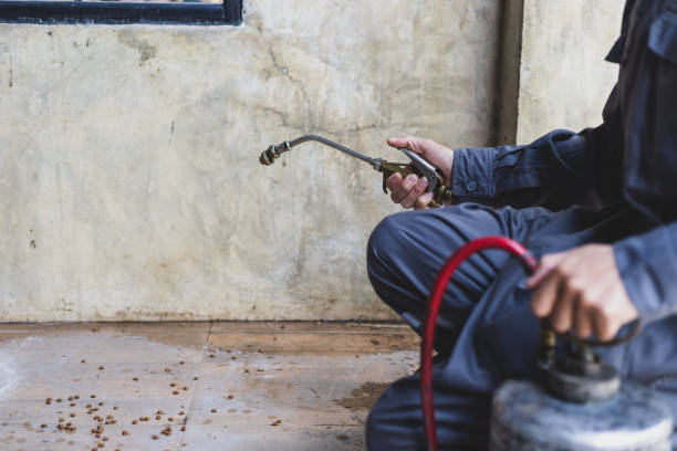 Best Termite Control Services  in Houston, MO